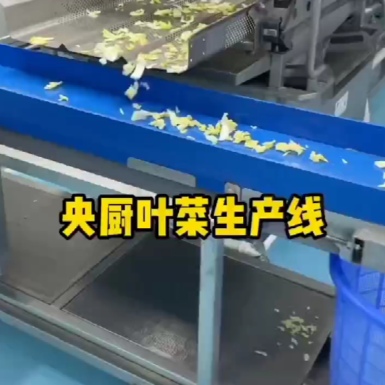 凈菜清洗之渦流清洗機